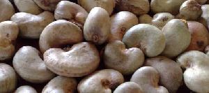 Unprocessed Raw Cashew Nuts