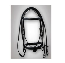 Horse Leather Bridle