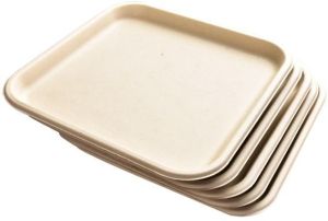 11 Inch Square Sugarcane Bagasse Dinner Plate