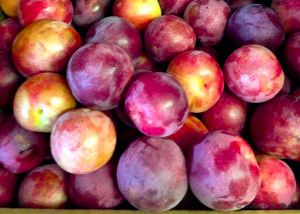 Fresh Plums
