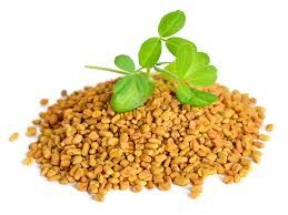 fenugreek seeds