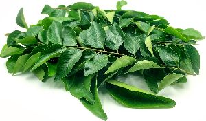 green curry leaves