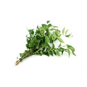 Organic Curry Leaves