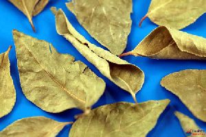 TRS Curry Leaves