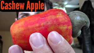 Cashew Apple