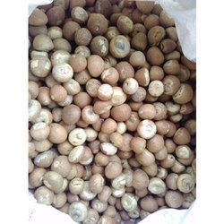 Dry Areca Nuts