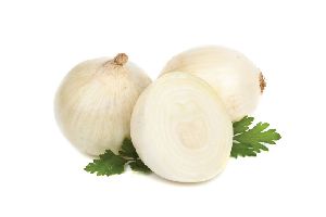 A Grade Indian White Onion