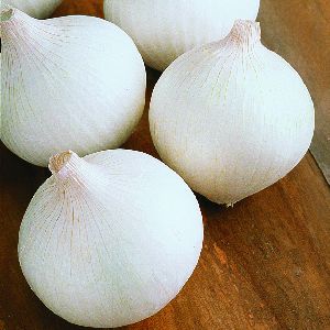 Big White Onion