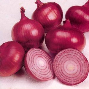 Onions