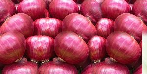 Pure Organic Red Onion