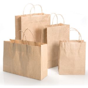 Shopping Paper Carry Bag