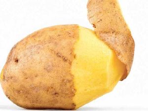 Fresh Small Potato