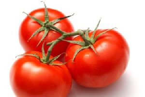 High Quality Tomato