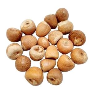 Natural Organic Areca Nuts