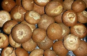 Natural Raw Organic Areca Nuts