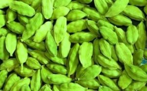 Fresh Green Cardamom