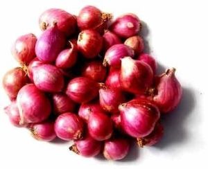 small red onion