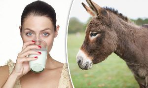 Healthy Donkey Milk