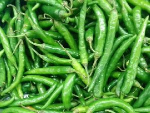 Fresh Green Chillies