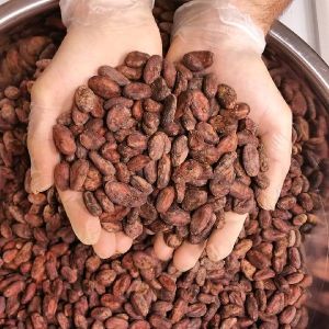 cocoa beans