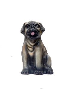 Pug Dog In A Small Space Money Bank