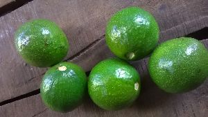 Fresh lime