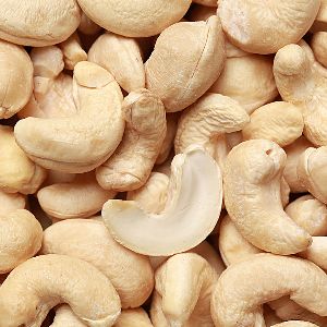 Cashew Nut Kernel W240