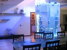 Pillar Aquarium