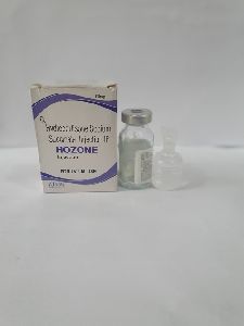 Hydrocortisone Sodium Succinate