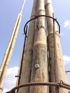 Dry Bamboo Pole