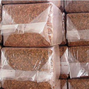 Coco Peat Bales