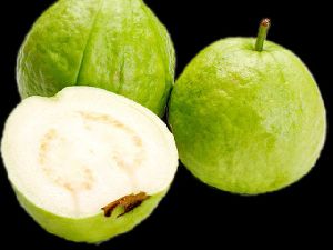 guava fruit