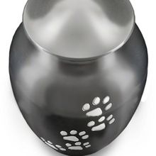 Black Pet Funeral Urn With Golden Paws