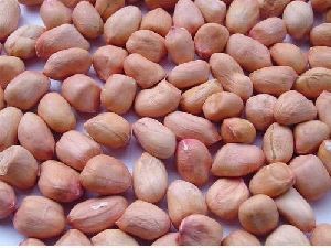 Bold Groundnut Kernels