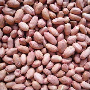 Dried Groundnut Kernels