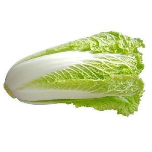 Fresh Chinese Cabbage