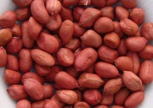 Organic Groundnut Kernels