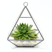 glass metal geometric terrarium decorative for indoor plant holder glass terrarium