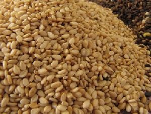 Golden Sesame Seeds