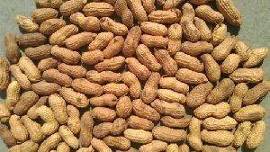 Pure Shelled Peanuts