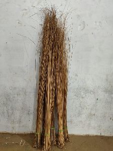Coconut Broom Raw Materials