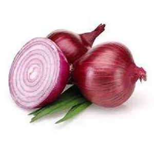 Organic Natural Onion