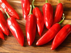 Fresh Red Chilli