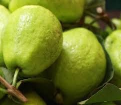 Fresh Natural Guava