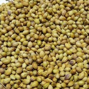 Natural Coriander Seeds