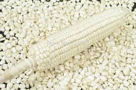 Organic White Corn Kernels