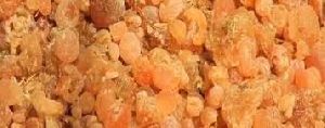 Talha Gum Arabic