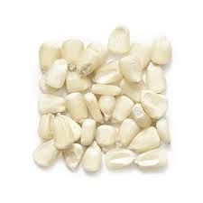 Whole White Corn Kernels