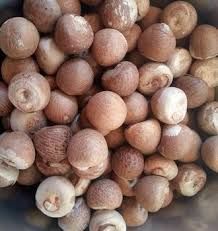 Betel Nuts(Dried)