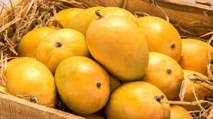 Fresh Delicious Mango